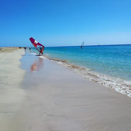 Palm Garden Διαμέρισμα *