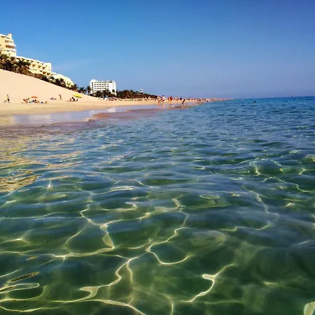 Διαμέρισμα Palm Garden