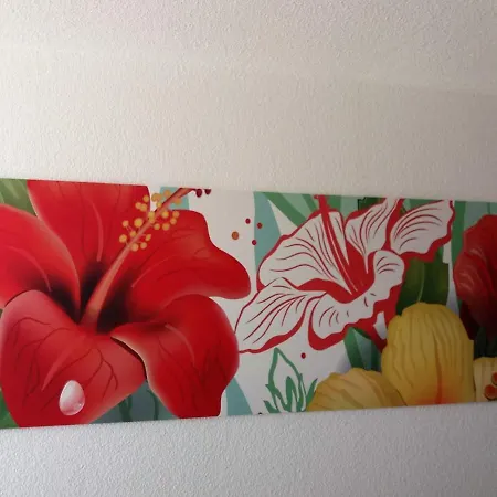 Palm Garden 莫罗德哈布雷