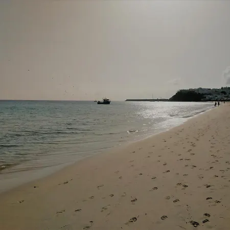 Palm Garden 公寓 莫罗德哈布雷