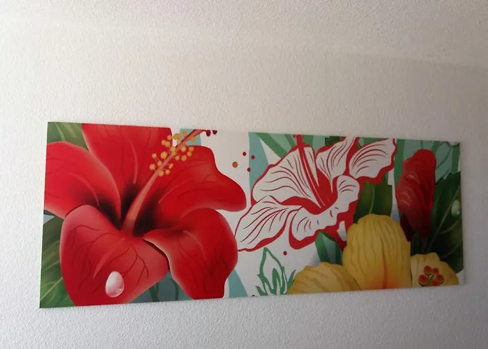 Palm Garden Morro Jable (Fuerteventura)