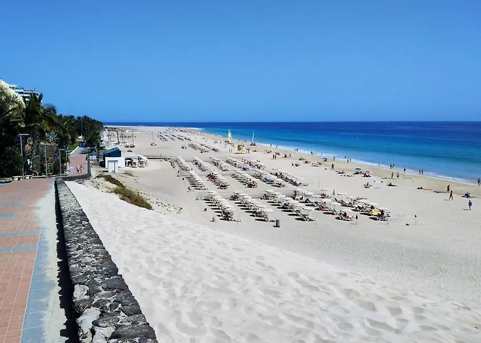 Διαμέρισμα Palm Garden