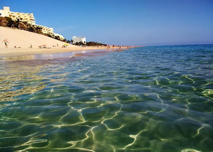 Διαμέρισμα Palm Garden